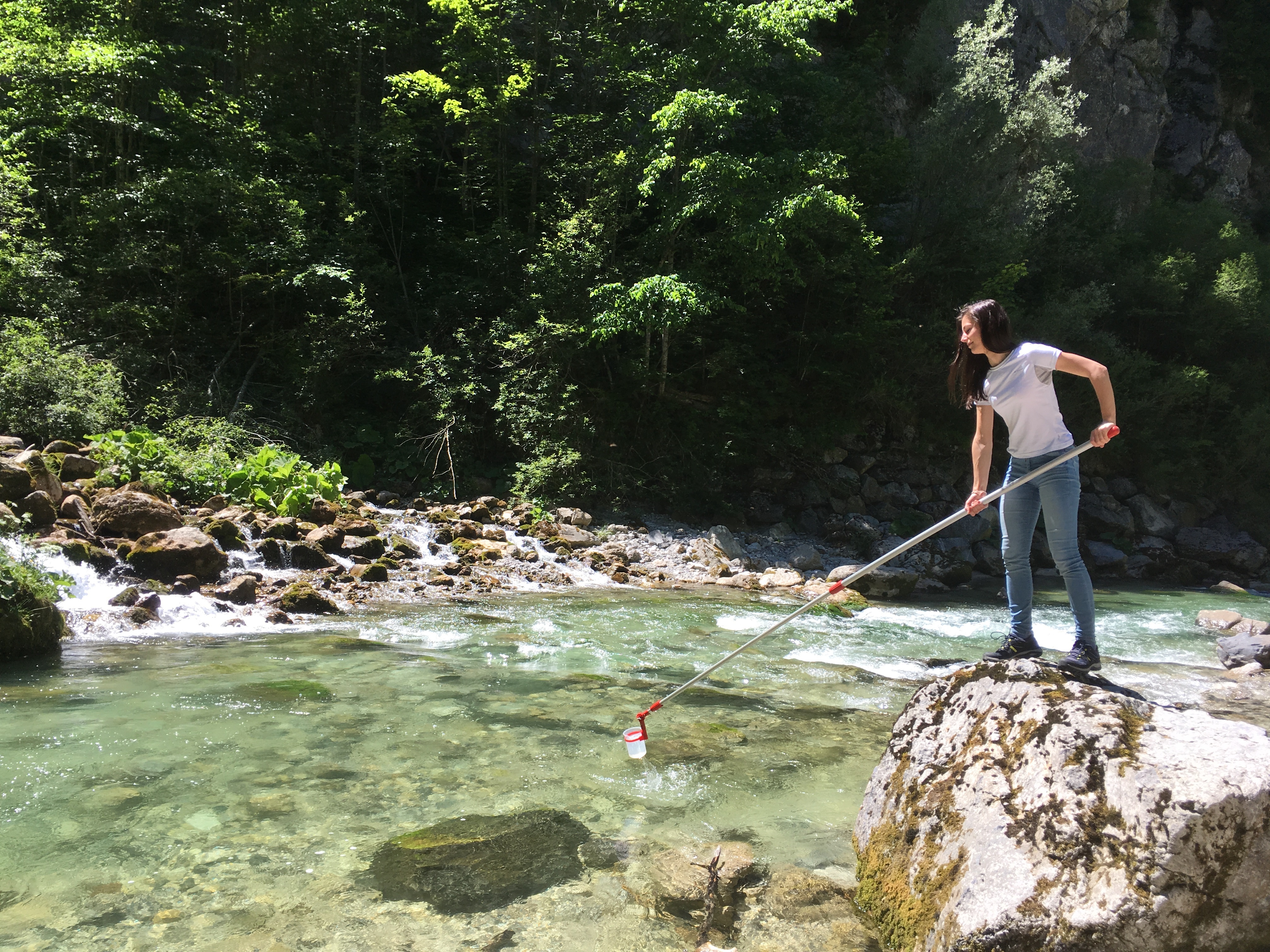 eine junge Frau steht an einem Gebirgsfluss auf einem Felsen und entnimmt mit einer Teleskopstange eine Wasserprobe aus dem Fluss