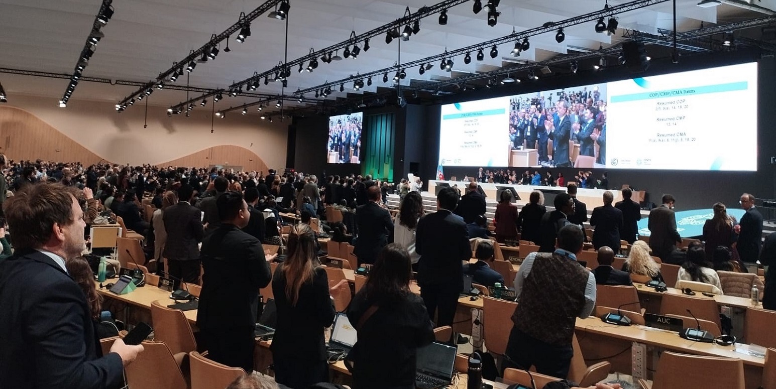 Teilnehmer des Abschlussplenums der COP29 stehen auf und applaudieren