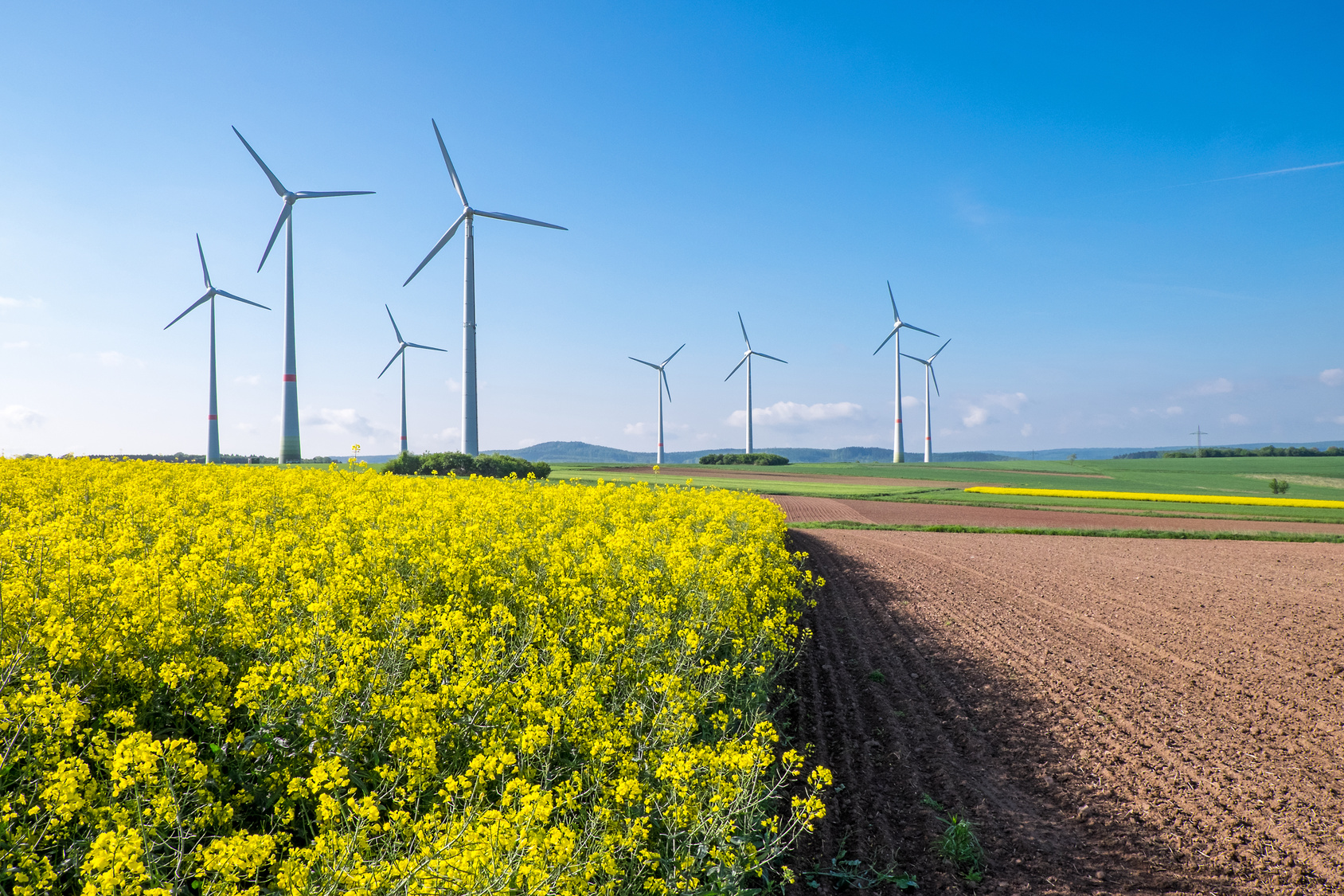 Windpark, im Vordergrund ein blühendes Rapsfeld