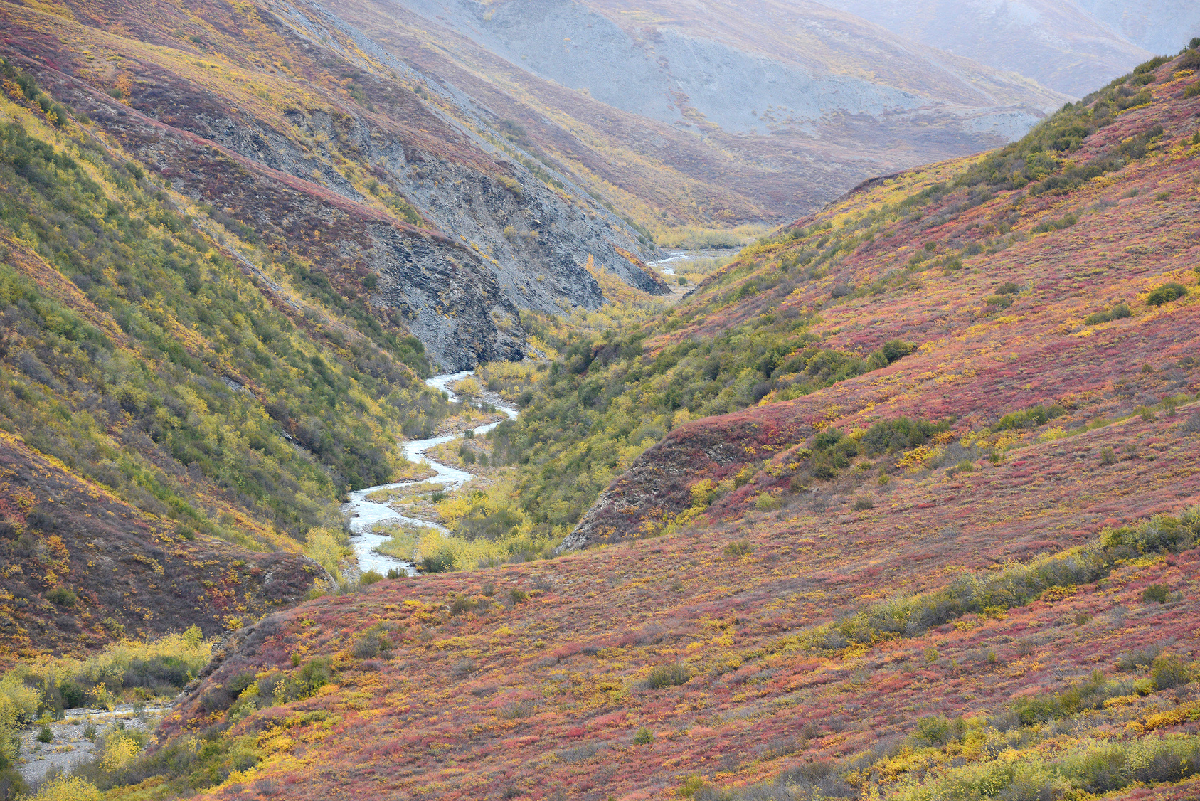 Farbenfrohe Herbstlandschaft in Alaska