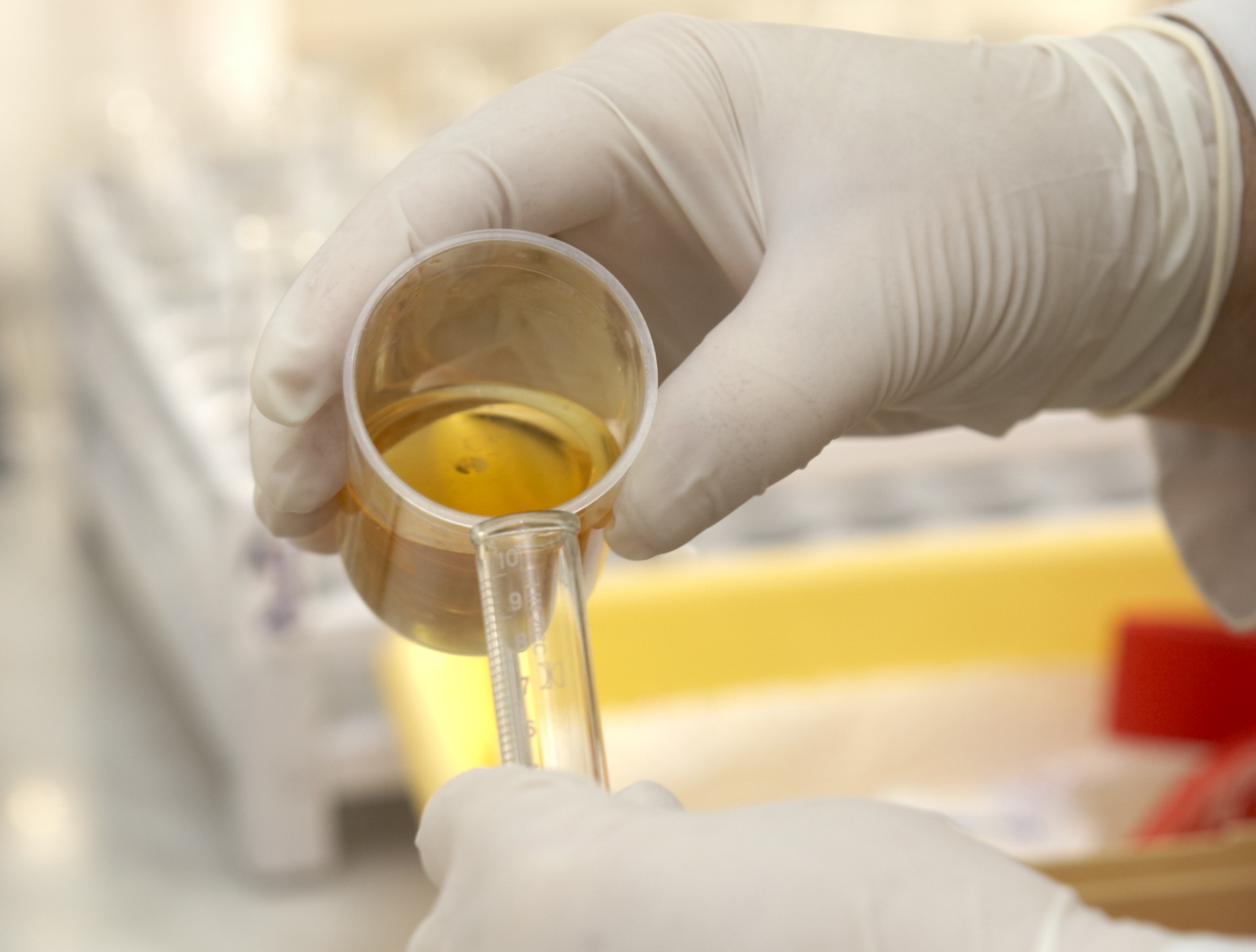 Flüssigkeit wird im Labor von einem Glasbehälter in ein Reagenzglas umgeschüttet