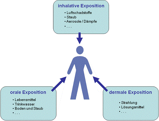 Stilisierter Mensch im Mittelpunkt wird durch in Kästchen dargestellte orale, inhalative und dermale Expositionen pfeilgerichtet beeinflusst