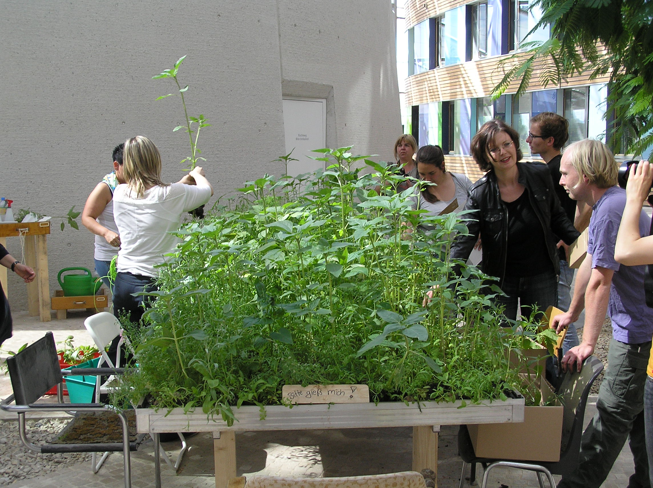 Forum des UBA: Garteninstallation mit hochgewachsenen Pflanzen und Menschen, die diese abholen