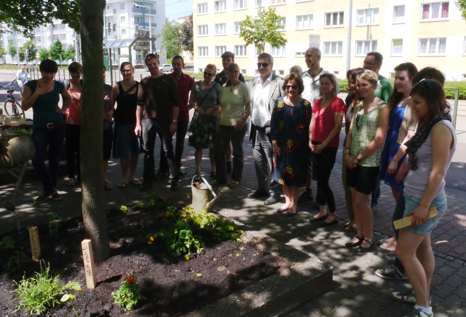 Mitarbeiter des UBA pflanzen in der Dessauer Innenstadt ein Blumenbeet (Baumscheibe). Hier sehen Sie sich das Resultat ihrer Arbeit an. 