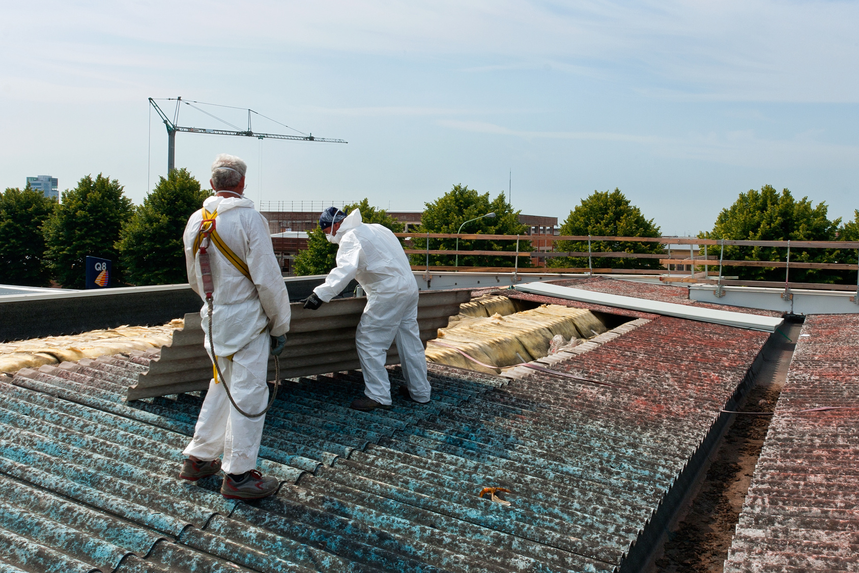 Asbestos abatement professionals