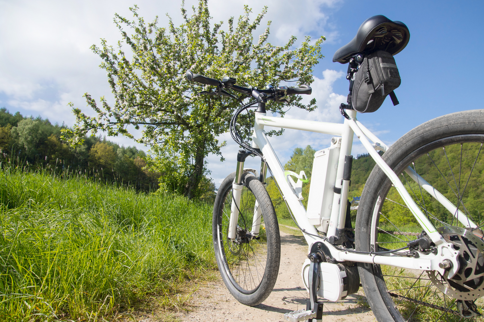 E-cycles on a field path