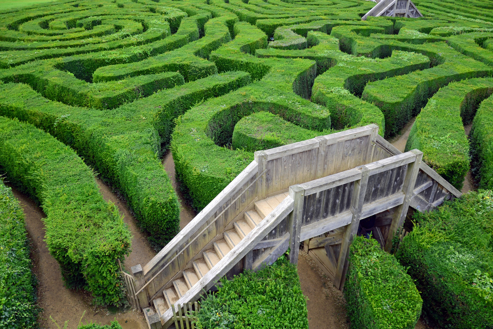grünes Labyrinth mit Aussichtsplattform und Treppe aus Holz
