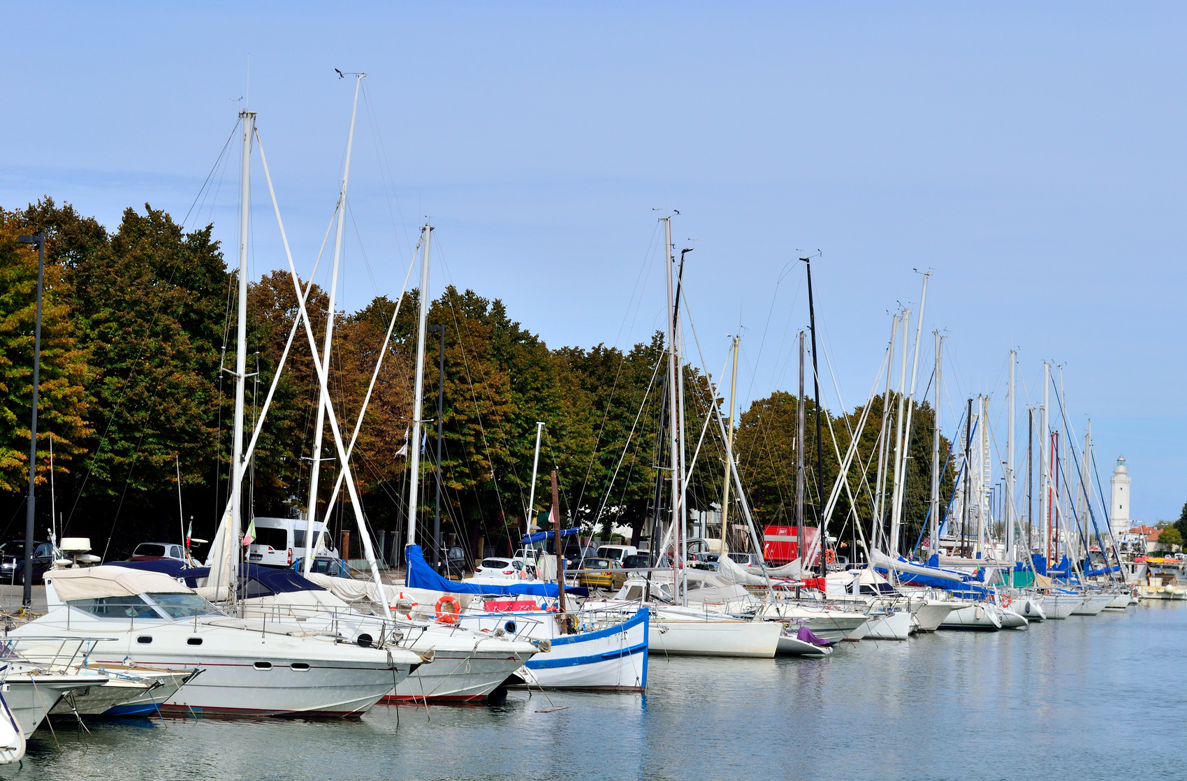 little sailing boats and motorboats in a marina
