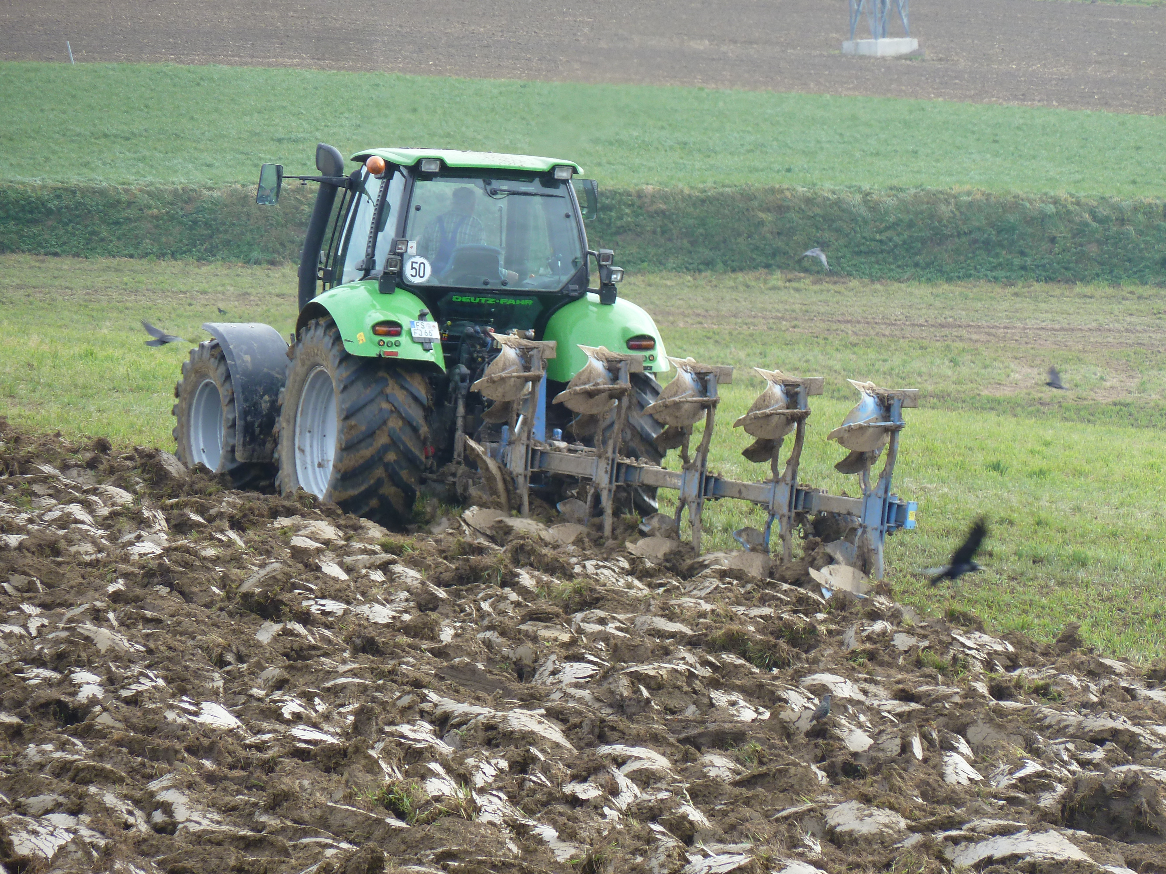 Trecker beim Grünlandumbruch.