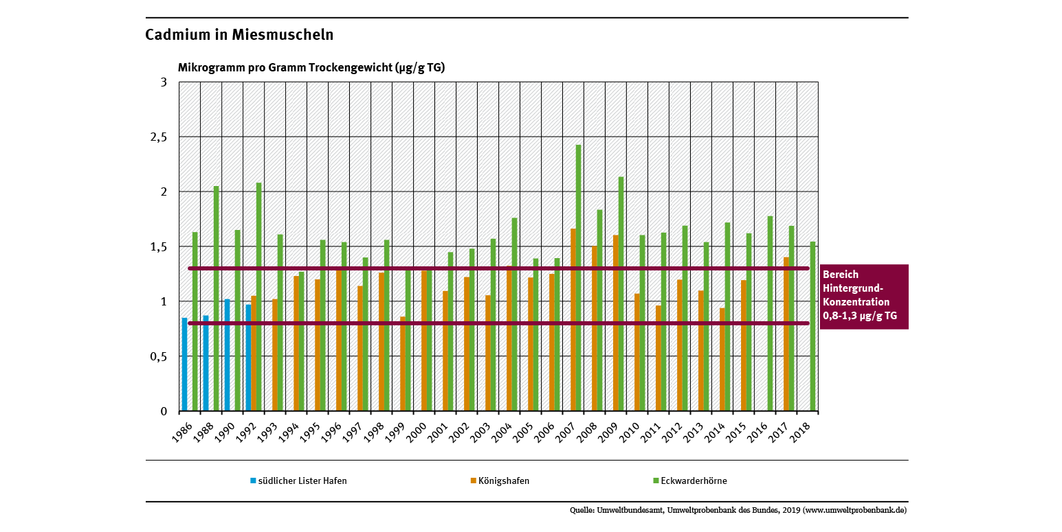 Miesmuscheln aus dem Jadebusen sind stärker mit Cadmium belastet als Muscheln aus dem Sylt-Römö-Watt. Die Cadmiumgehalte schwanken zwar zwischen den Jahren, ein eindeutiger Trend ist aber an keiner der beiden Probenahmeflächen zu erkennen.
