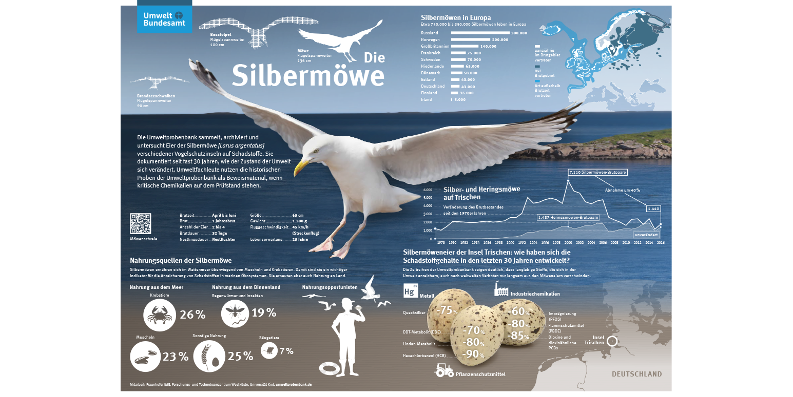 Schaubild zur Silbermöwe in Europa, Nahrungsquellen der Silbermöwe, Silbermöweneier der Insel Trischen: wie haben sich die Schadstoffgehalte in den letzten 30 Jahren entwickelt?