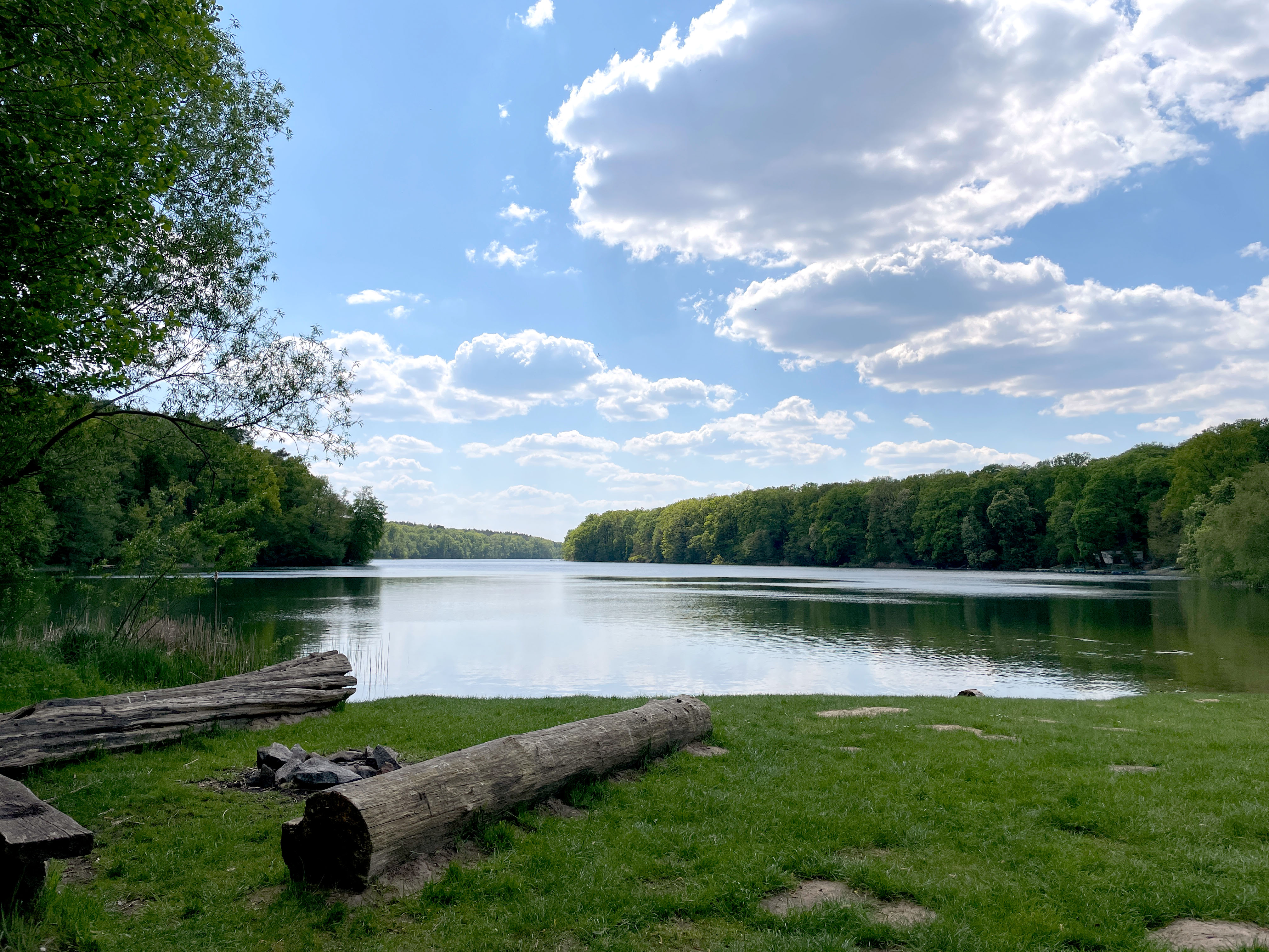 Badesee mit Baumstamm zum Sitzen im Bildvordergrund.