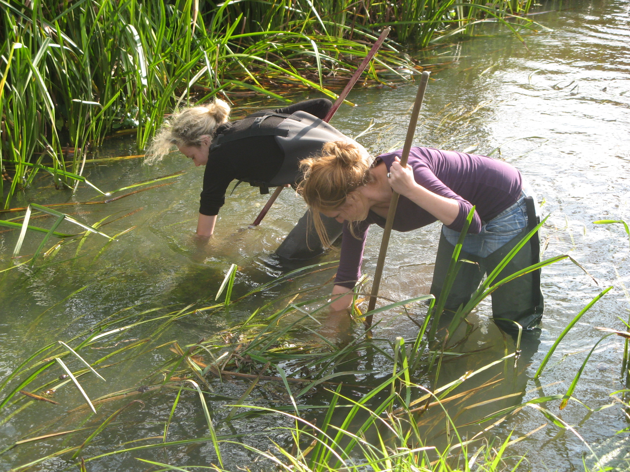 two women are fishing in the water to take some samples