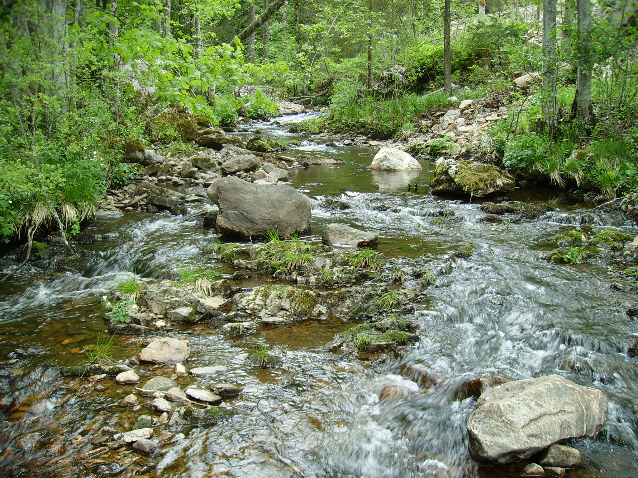 Breiter Bach fließt nach unten, zwischen Geröll und anderen Steinen.