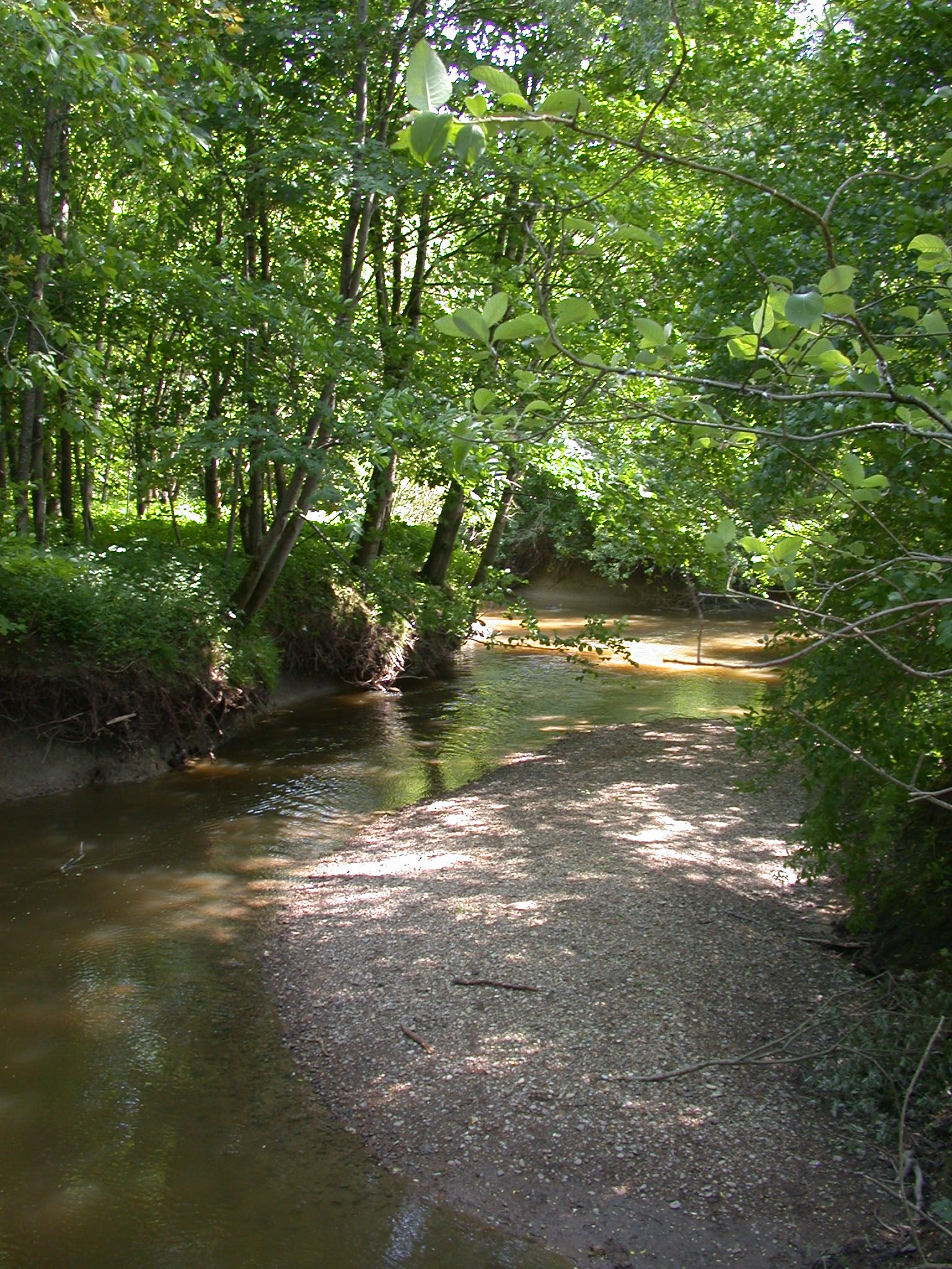 Kleiner Bach mit kleiner Sandbank und am Ufer stehen viele grüne Laubbäume