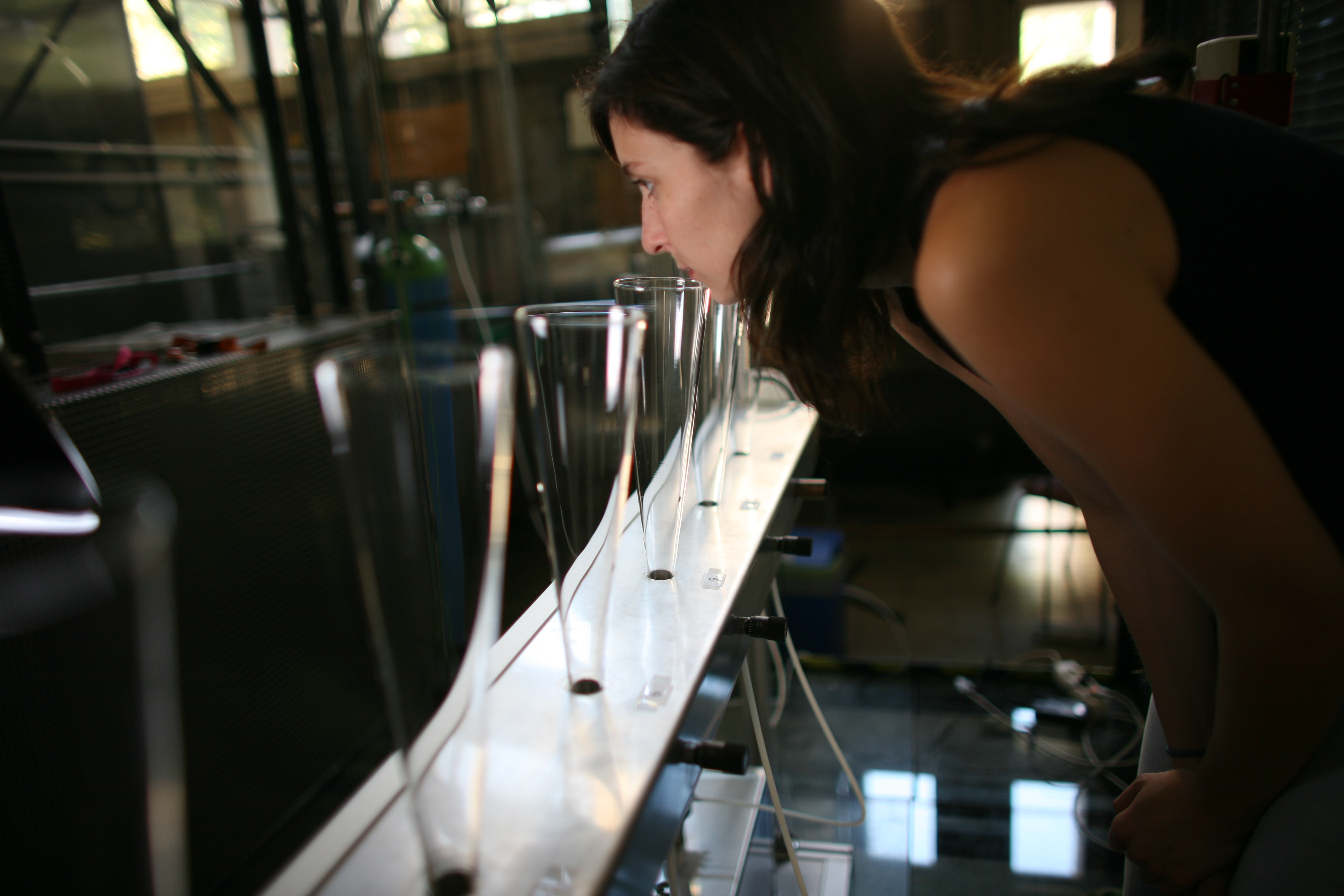 a young woman takes a smell at one of different glass plungers which are set out in a row
