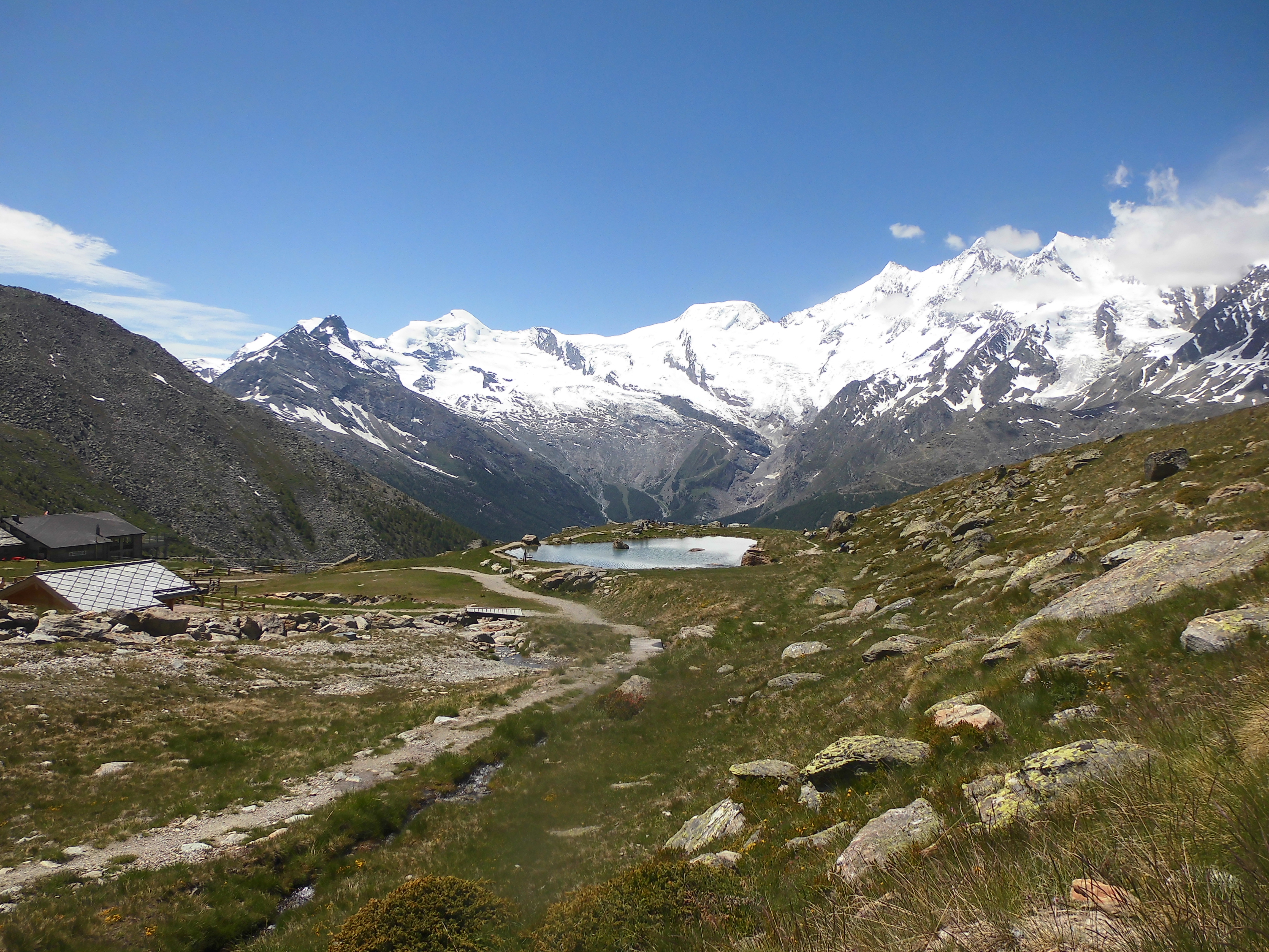 Eine Bergwiese in den Alpen.