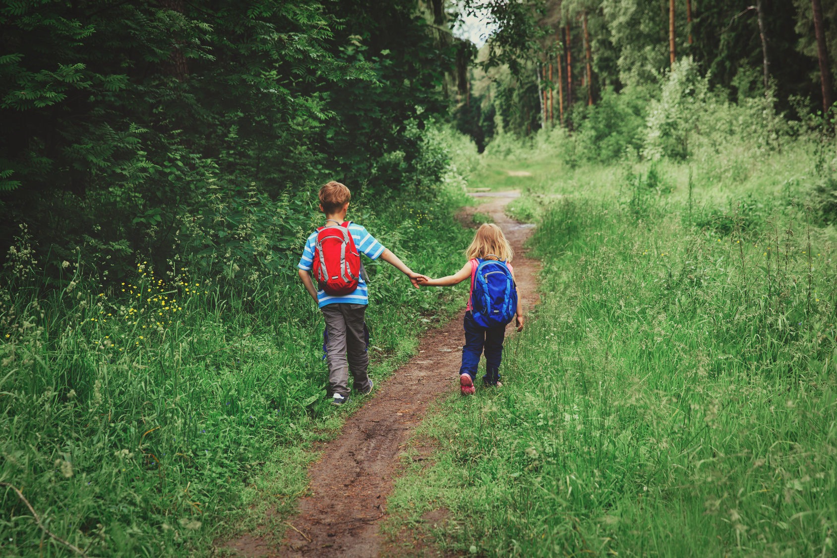 Zwei Kinder wandern im Wald.