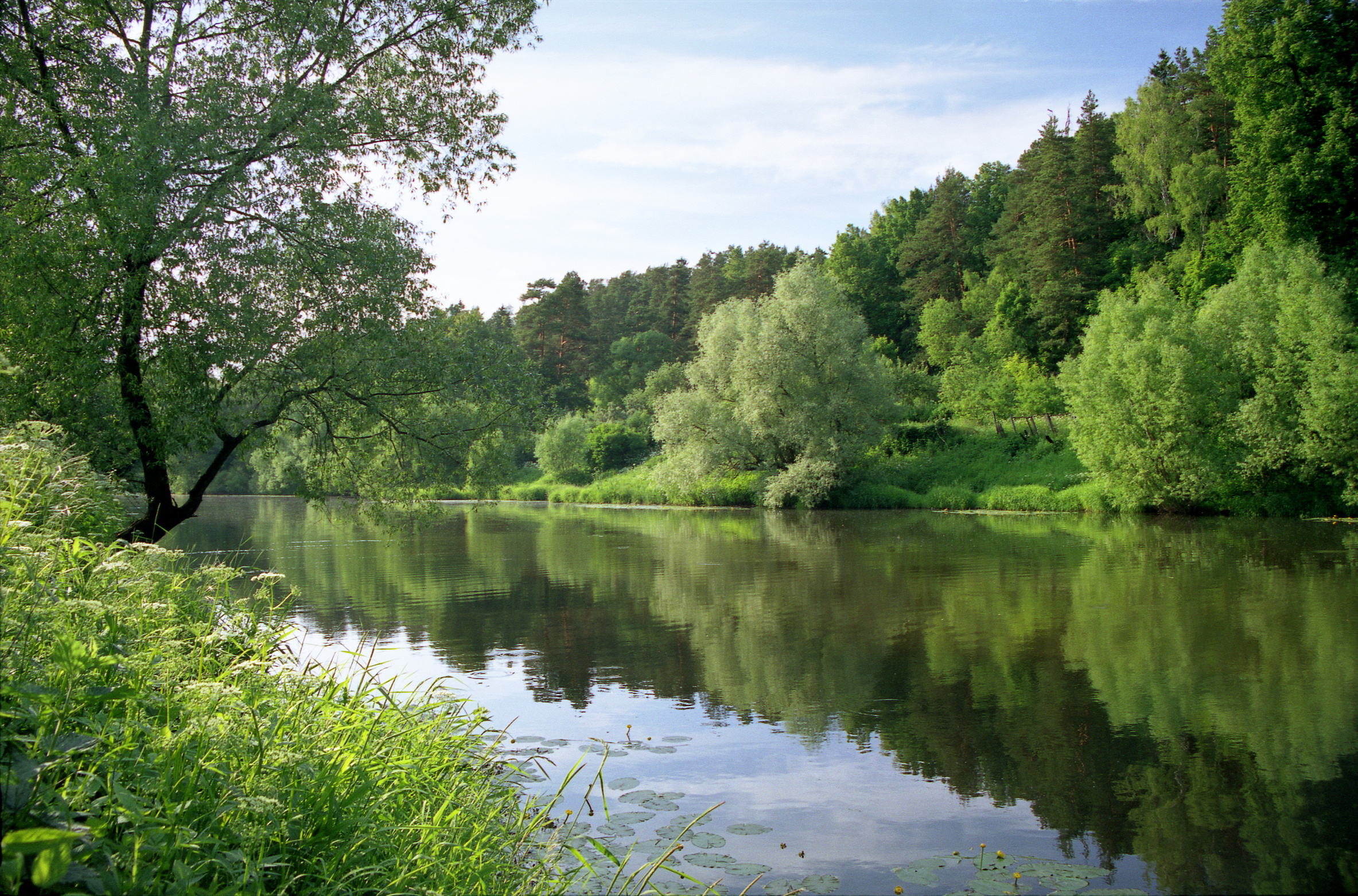 Ein breiter, ruhiger Fluss. Rechts und links viel grüne Natur mit Bäumen.