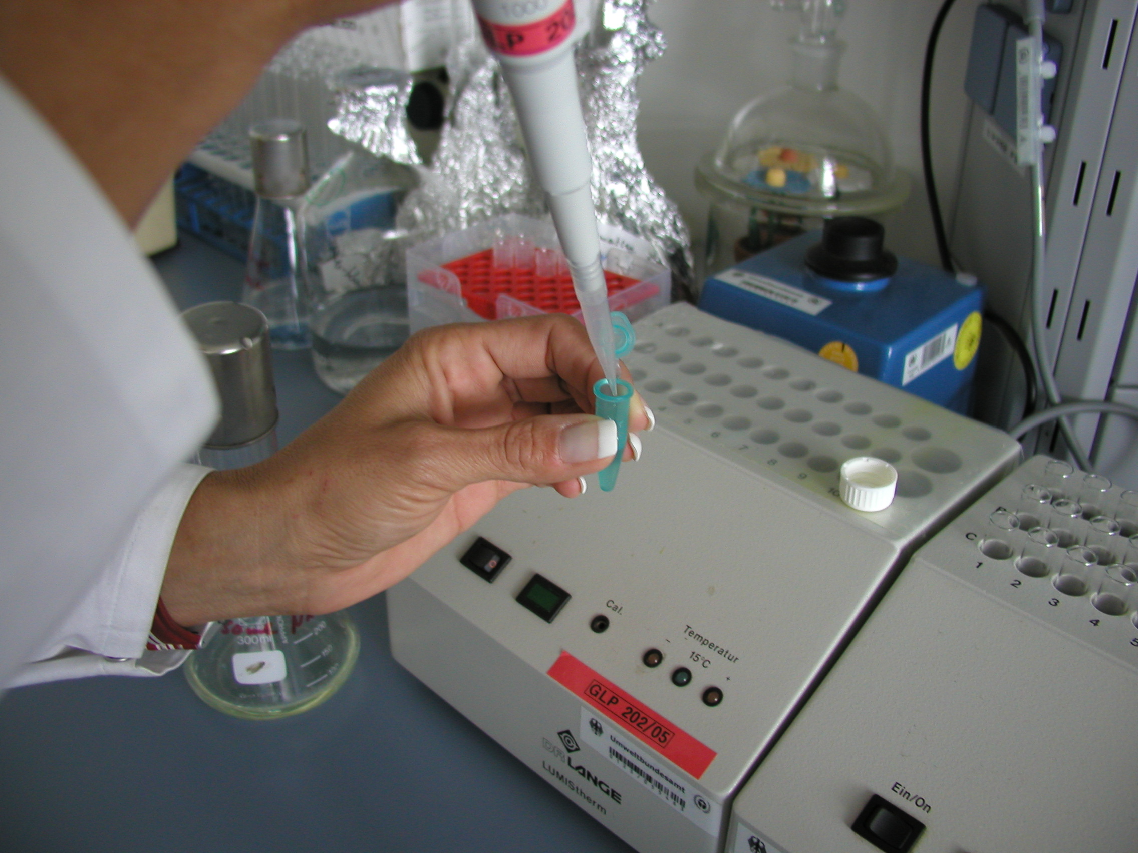 Eine Mitarbeiterin des Umweltbundesamtes, deren Hände im Bild sind, bestückt Küvetten im Labor mit Leuchtbakterien.