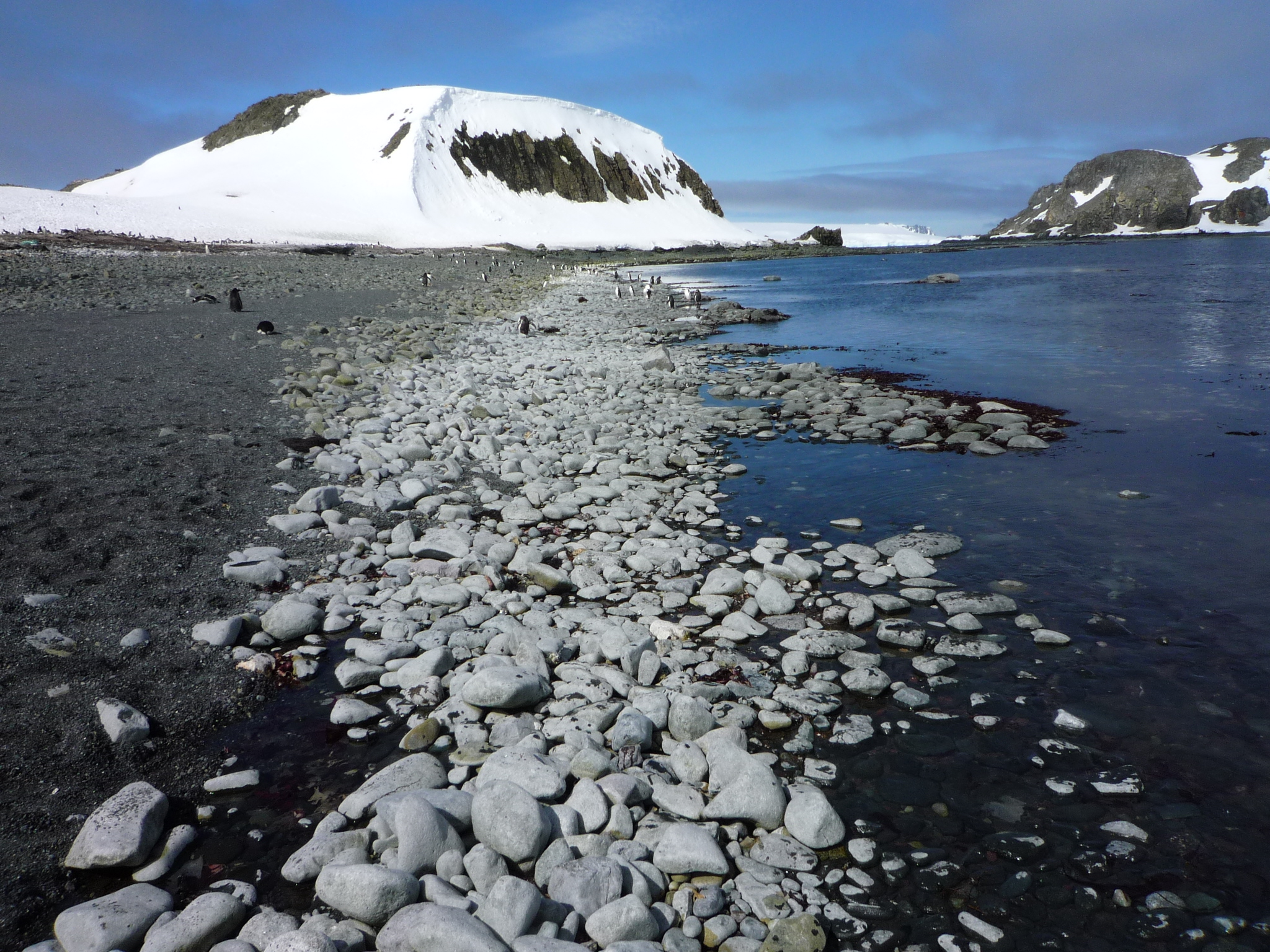 Man blickt an der antarktischen Küste entlang. Der Strand ist mit Steinen bedeckt. Etwas weiter hinten sind Pinguine zu sehen. Im Hintergrund ragt ein teilweise schneebedeckter Berg auf. 