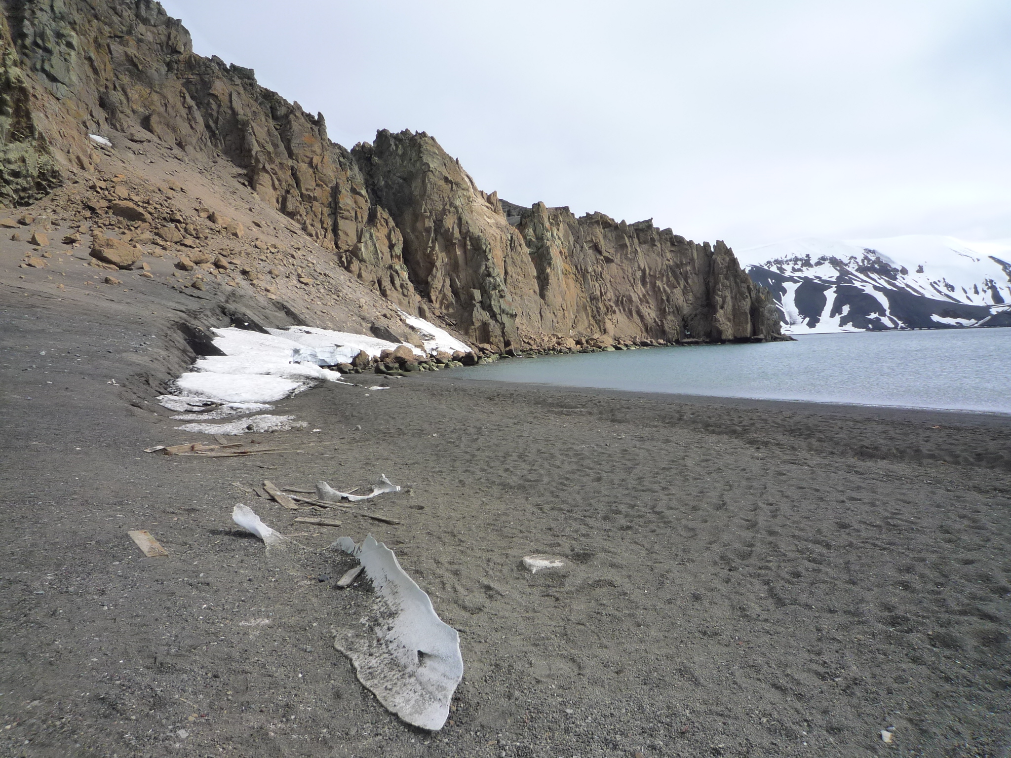 Man blickt nach links an einem Strand in der Antarktis entlang. Es türmen sich kliffartige Felsen auf. Weit im Hintergrund schneebedeckte Berge. 