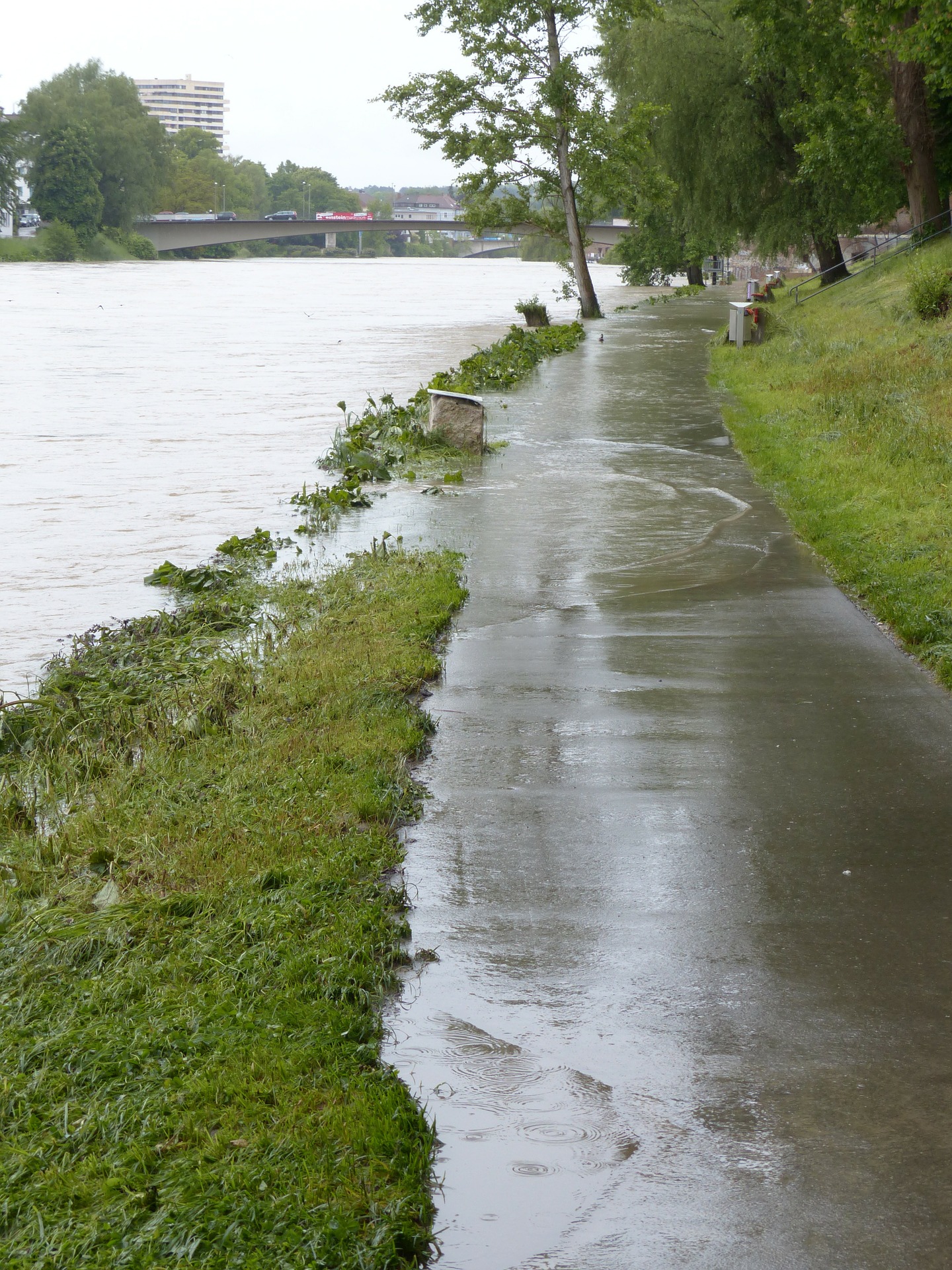Es ist ein Gehweg zu sehen mit einem Grünstreifen. Dieser ist überschwemmt mit Wasser von dem anliegenden Fluss auf der linken Seite. 
