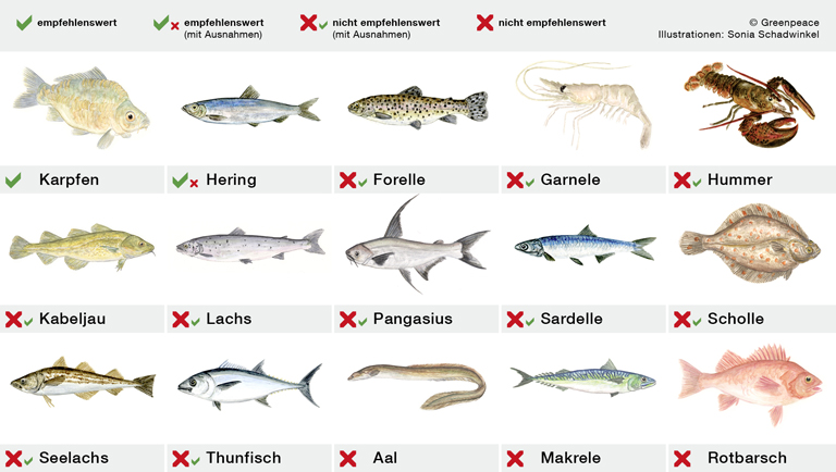Fisch Umweltbundesamt.