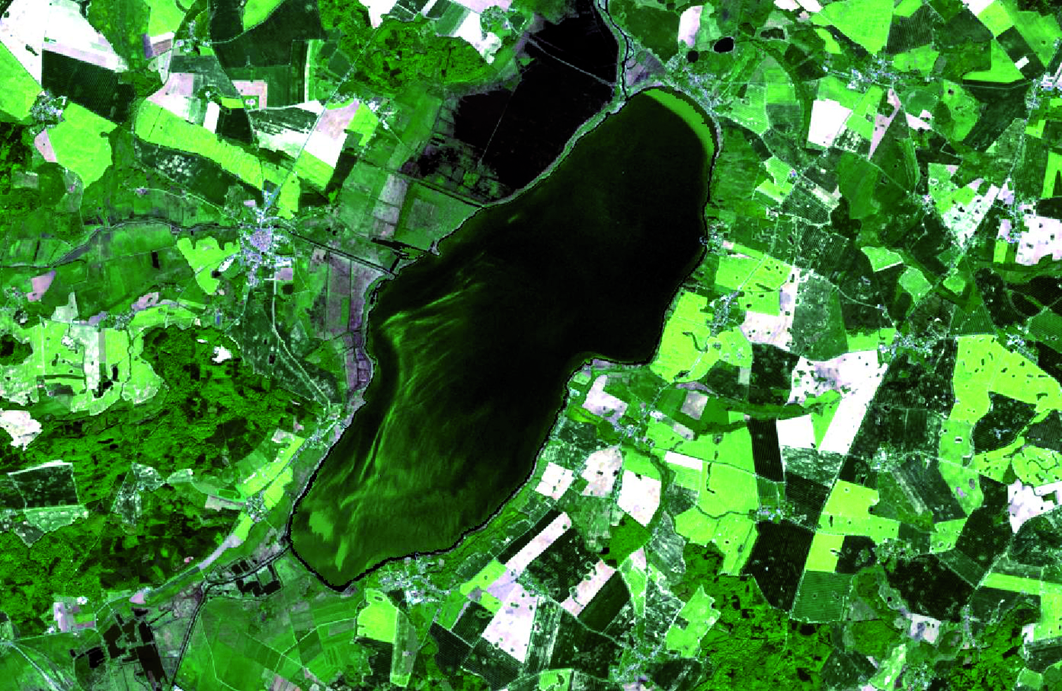 The picture shows an aerial view of a lake. Its surface is coloured a luminous green in places, owing to spring algal bloom. There are agricultural fields visible in the lake’s vicinity.