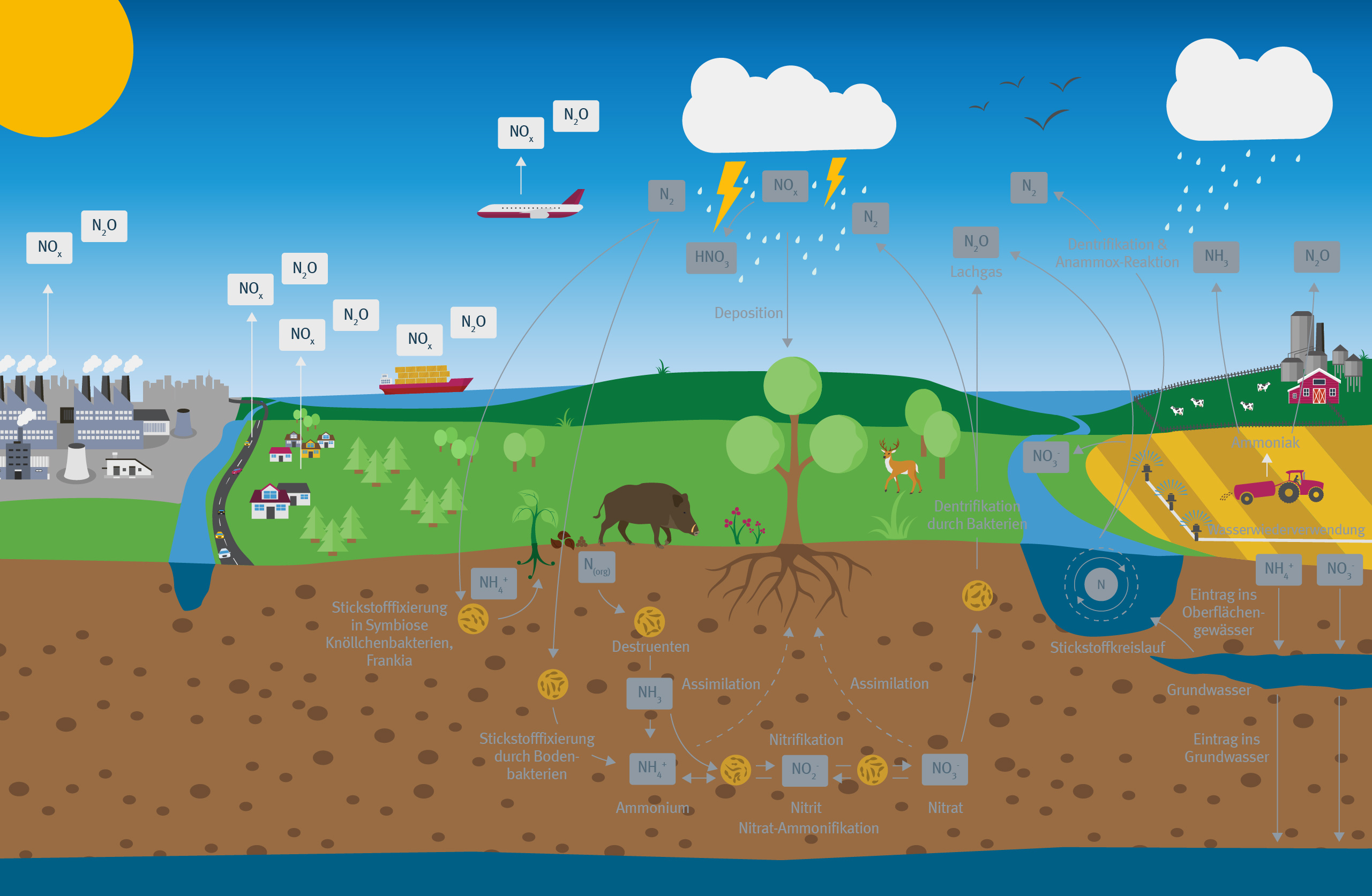 Grafikdarstellung eines Stickstoffkreislaufs in einer Natur- und Industrielandschaft