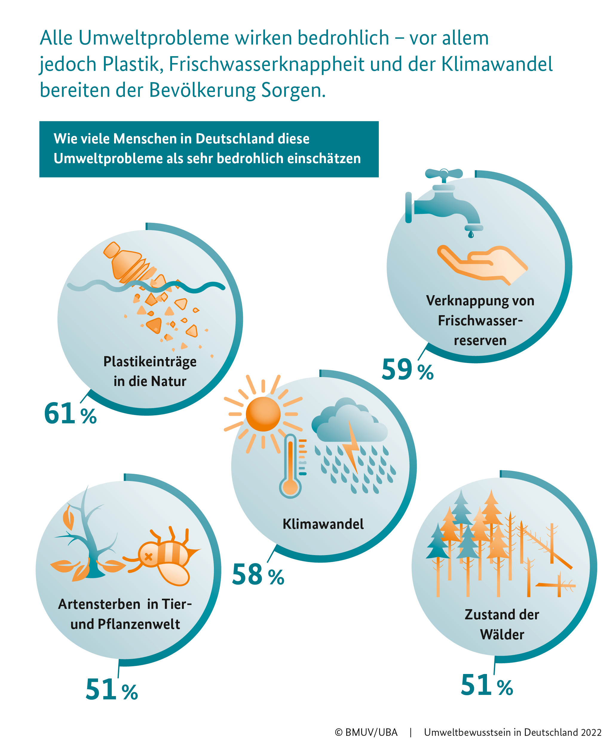 Grafik der Umweltbewusstseinsstudie 2022 zum Thema Umweltprobleme 