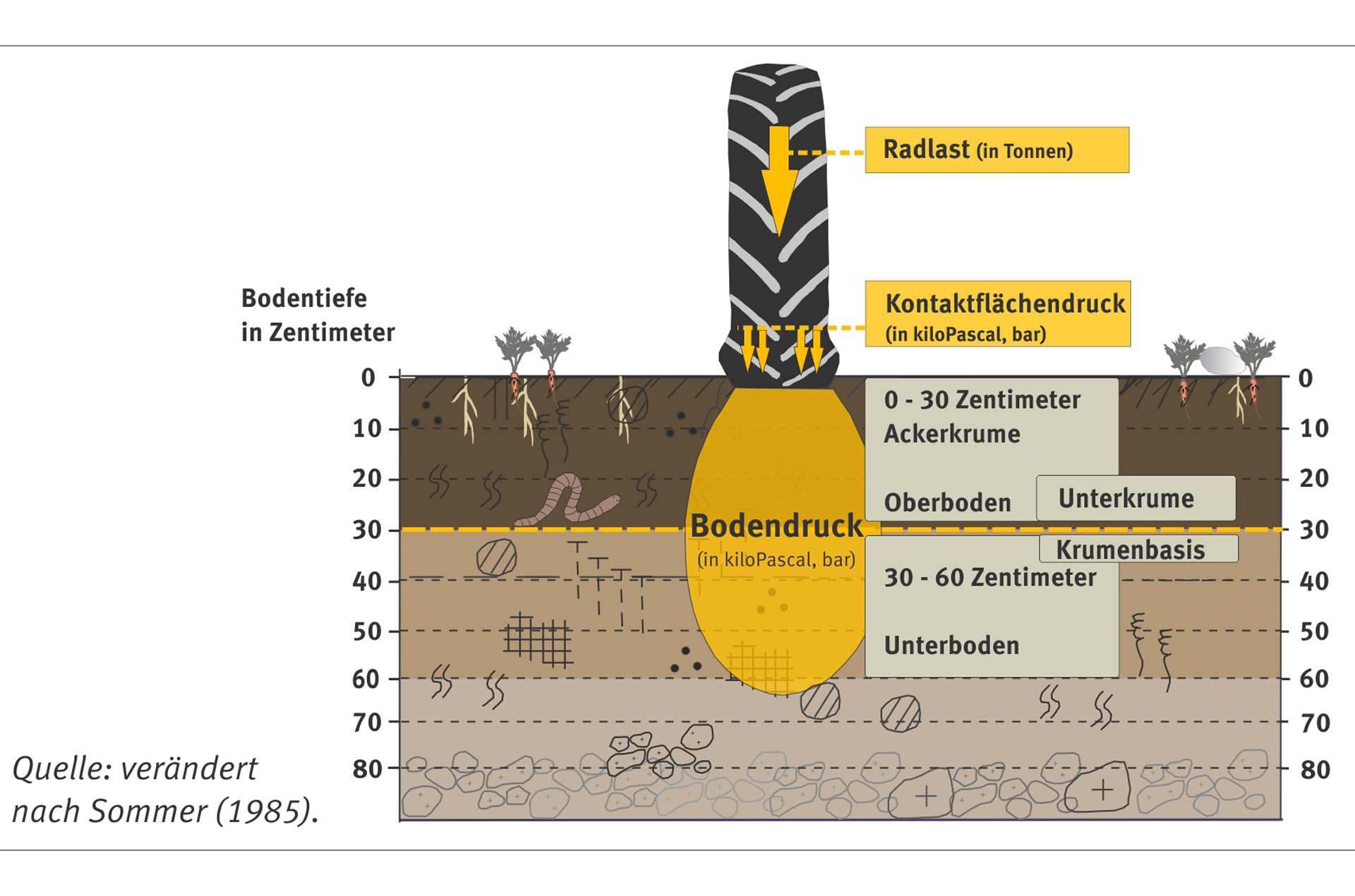 Schaubild zu den Ursachen von Bodendruck