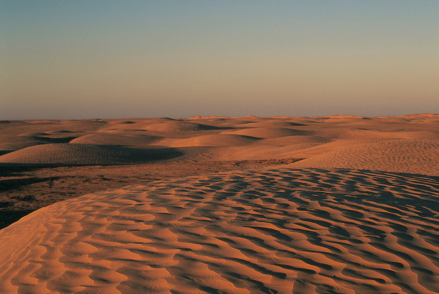 Sanddünen in der Wüste