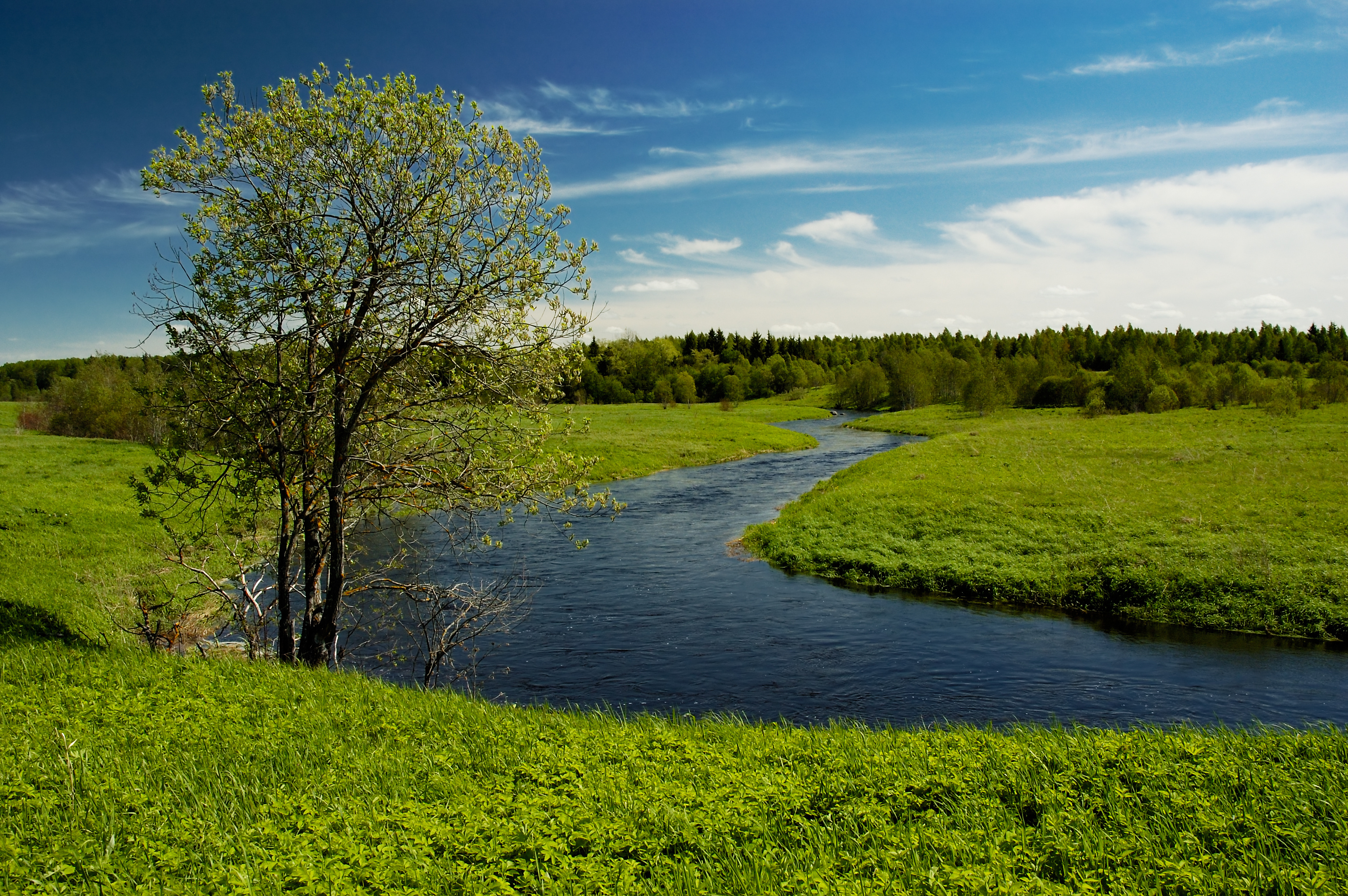 Flussverlauf zwischen grünen Wiesen