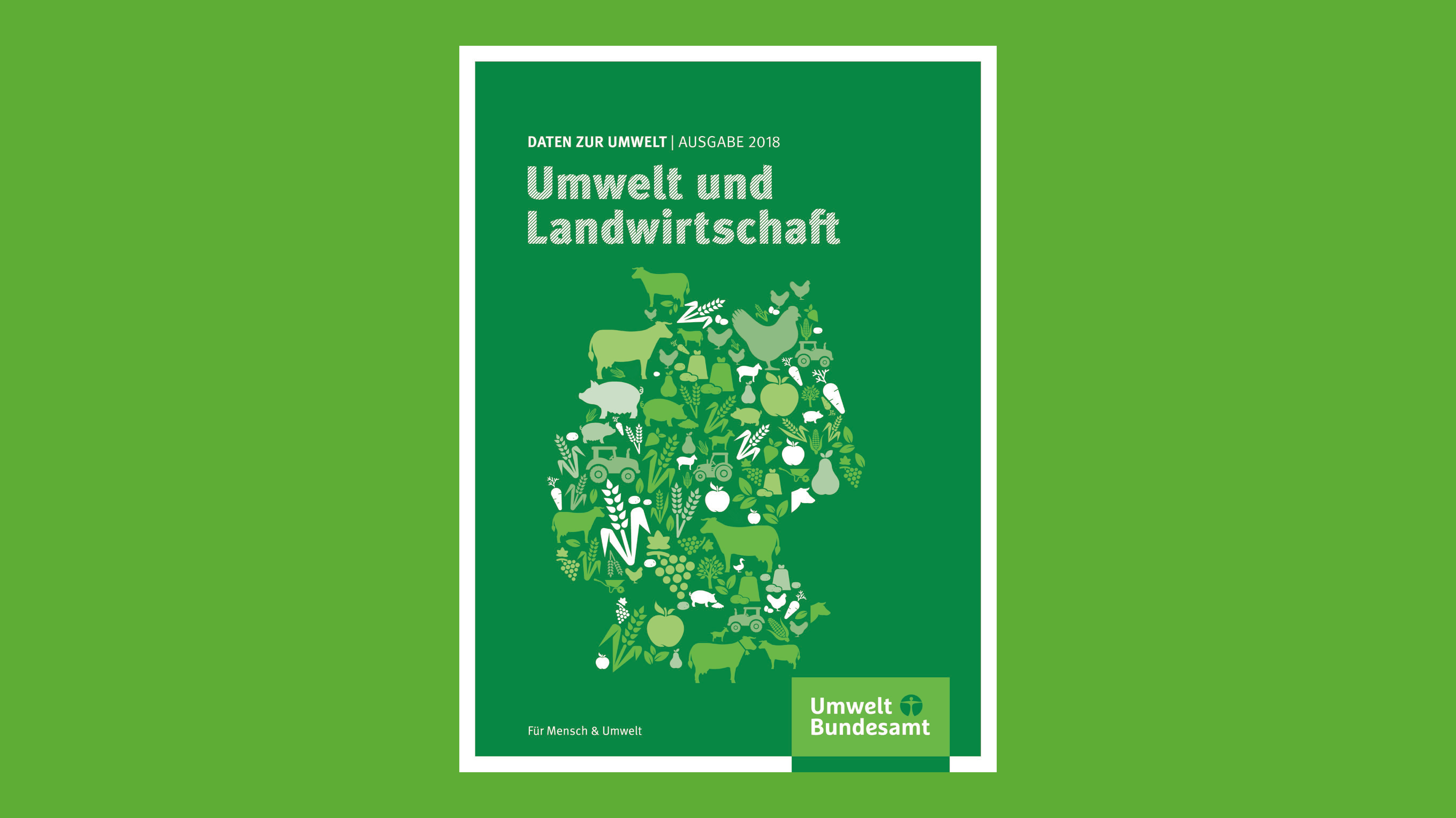 Cover der Broschüre.