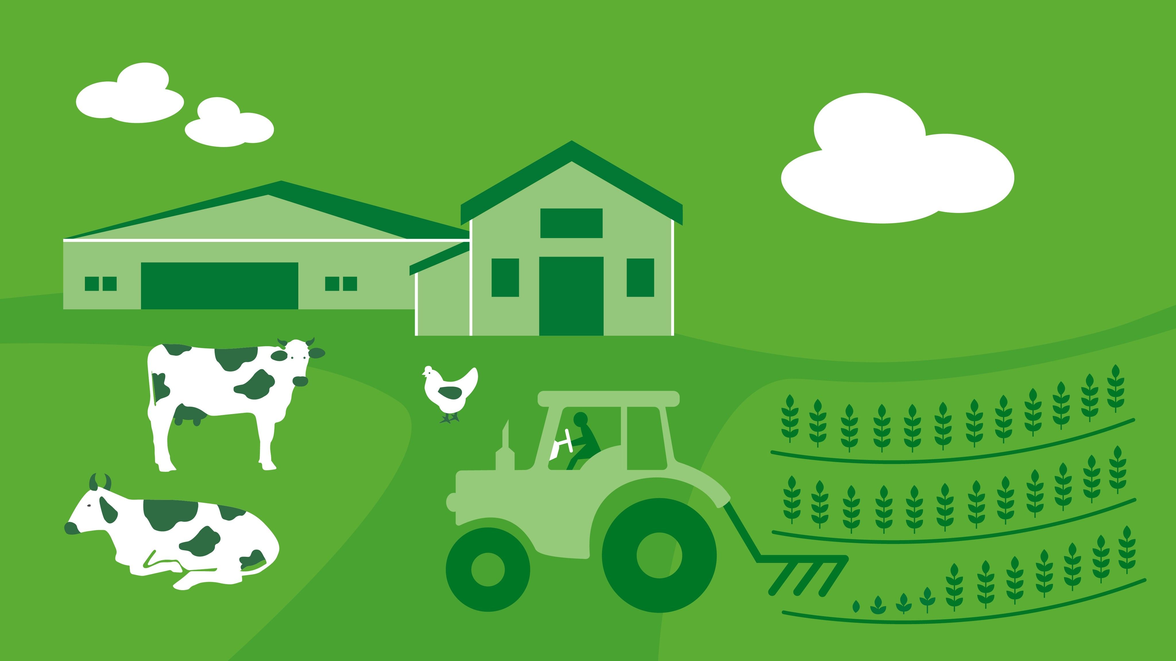 Die Infografik zeigt ein Bauernhaus, Kühe, Traktor und Getreideanbau. Durch Klick aufs Bild gelangen Sie zur interaktiven Slideshow.