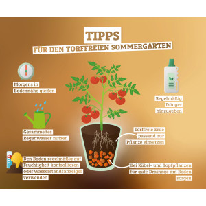 Infografik mit Tipps für den torffreien Sommergarten