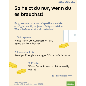 Slogan: So heizt du nur, wenn du es brauchst! Listet Vorteile programmierbarer Thermostate: Geld sparen, Umweltschutz, Komfort. UBA-Logo.