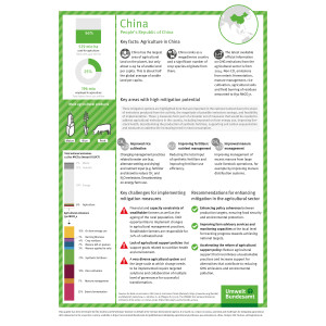 Overview of key facts and mitigation potential in the agricultural sector of China