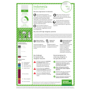 Overview of key facts and mitigation potential in the agricultural sector of Indonesia