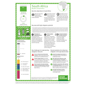 Übersicht der Key Facts und größten Minderungspotenziale der Landwirtschaft in Südafrika