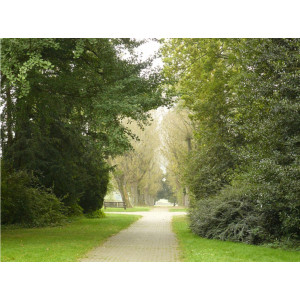 Foto des Schlossparks an der Universität Hohenheim