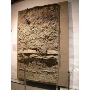 Foto eines Bodenprofils aus Löss, ausgestellt im Museum