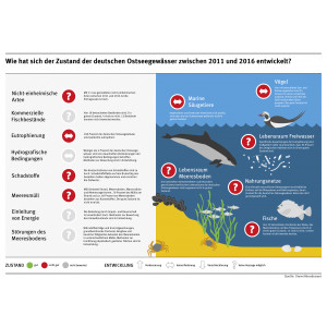 Infografik: Zustand der deutschen Ostseegewässer