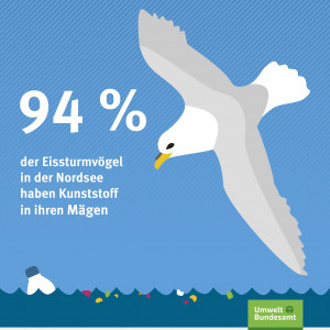 94% der Eissturmvögel in der Nordsee haben Kunststoff in ihren Mägen