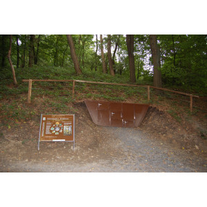 Auf dem Höhenweg in den Witthausbusch, Sicht auf eine Hangflanke mit Bodenanschnitt