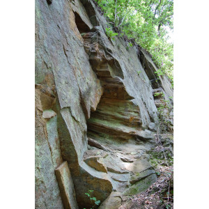 Fossiler Baumabdruck in Hochformat