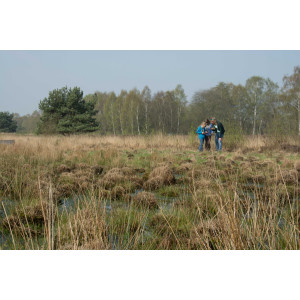 Hochmoor am Emsland Moormuseum