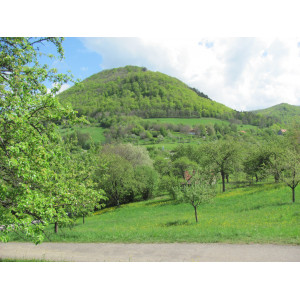 Foto einer Landschaft bei Beuren