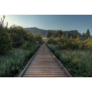 Panoramablick im Sommer